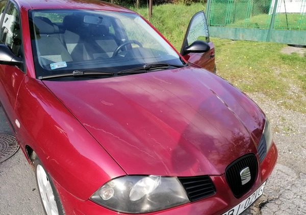 Seat Ibiza cena 4500 przebieg: 176108, rok produkcji 2005 z Brzozów małe 277